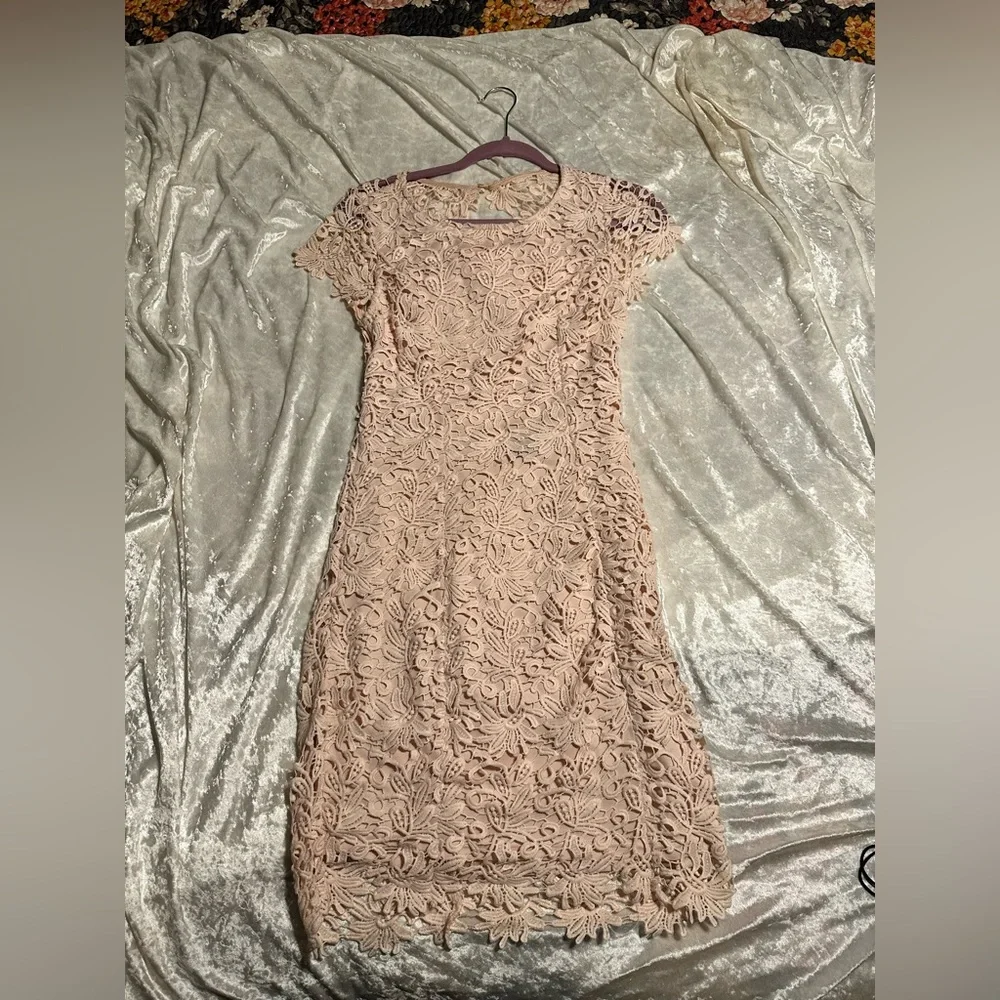 🩵 Lulus blush cotton lace dress with keyhole back. 092 - Picture 8 of 11